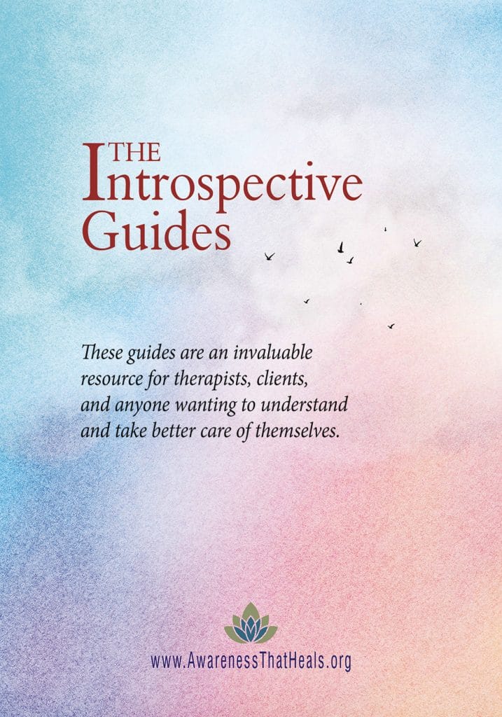 Introspective Guides - Cover